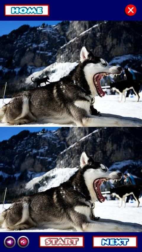Find Difference Cat Game 50Lv screenshot 3