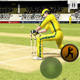 BBH Cricket Worldcup иконка