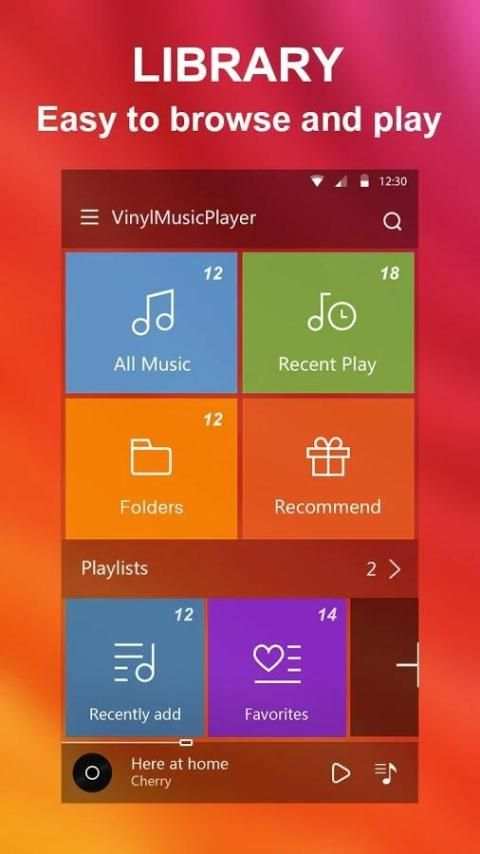 ViNyL Music Player screenshot 12