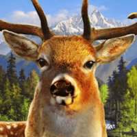 Jungle Deer Hunter 2016