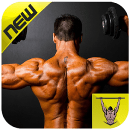 Back Exercise أيقونة