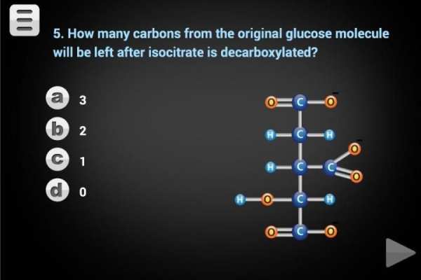 Biology Cellular Respiration L screenshot 5