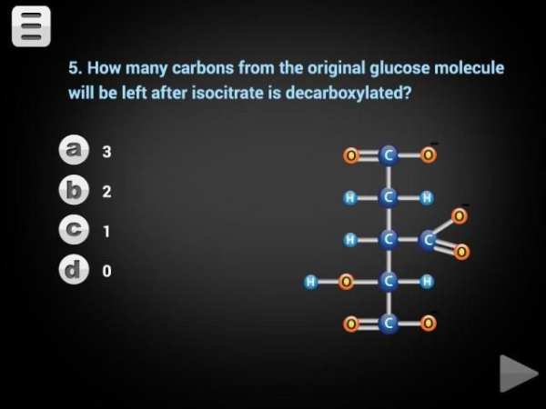 Biology Cellular Respiration L screenshot 15