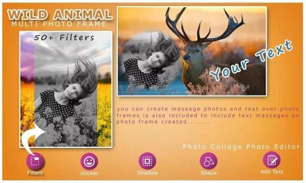Wild Animal Photo Frame Multi स्क्रीनशॉट 4