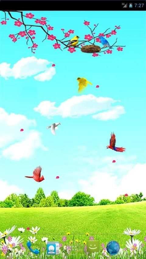Sky Birds Live Wallpaper Free screenshot 8