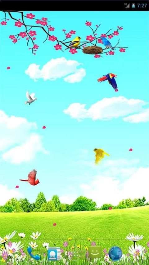 Sky Birds Live Wallpaper Free скриншот 7