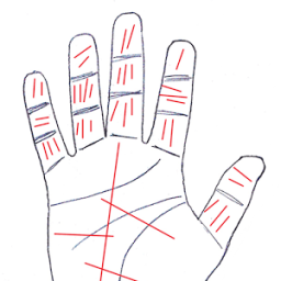 Hastrekha Jyotish आइकन
