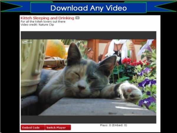 Download Any Video 1 تصوير الشاشة
