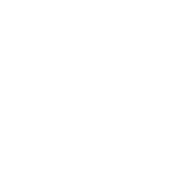 BMW Icons - White иконка