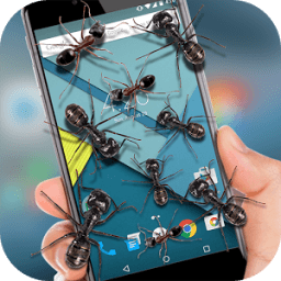 Ant On Screen иконка