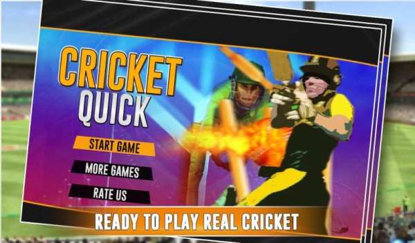 Quick Cricket скриншот 5
