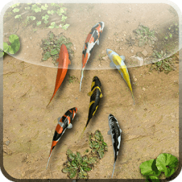 Water Pool Live Wallpaper أيقونة