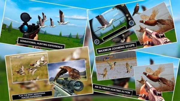 Jungle Sniper Birds Hunter screenshot 1