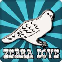 Zebra Dove Bird Calling Sounds on 9Apps