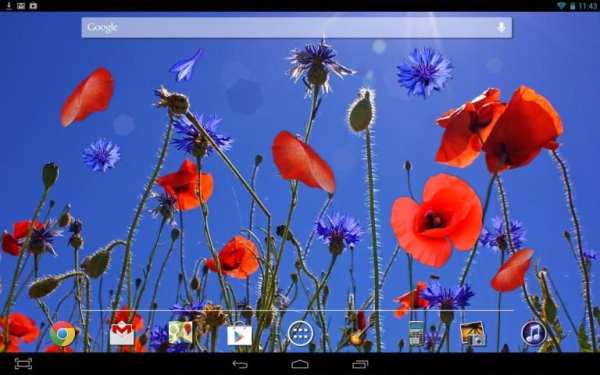 Poppies flowers LWP screenshot 1