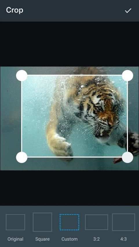 Efek foto kaya di studio screenshot 17