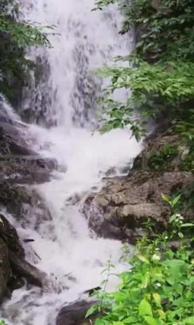 Nature Live Walpaper 76 1 تصوير الشاشة