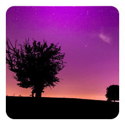 Pinky Night Live Wallpaper icon