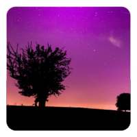 Pinky Night Live Wallpaper on 9Apps