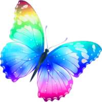 Pop Those Butterflies