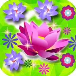 Flower Crush Mania أيقونة