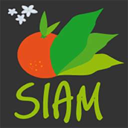 SIAM 1.5