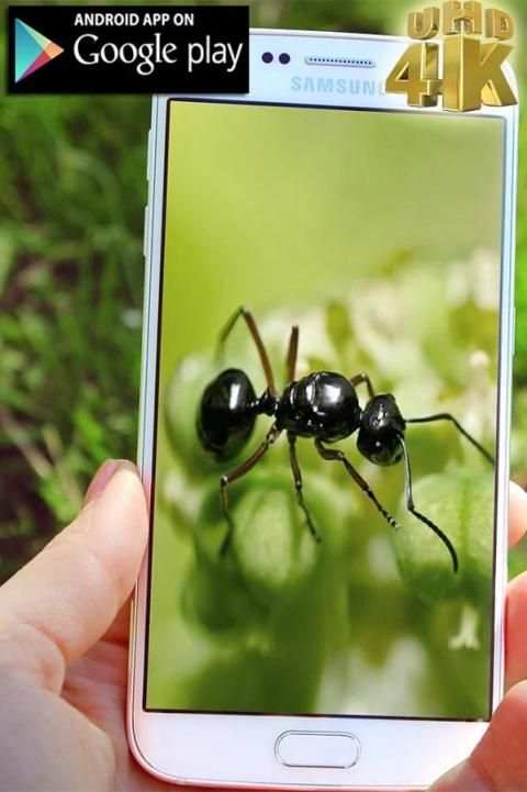 Mega Zoom Camera Pro 2017 скриншот 3