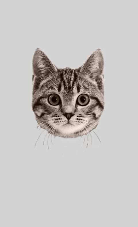 Animal Face Photo Editor screenshot 3