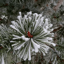 Winter Snow slide puzzles иконка