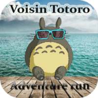Totor Adventure