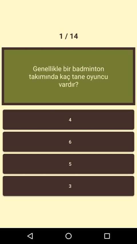 Mini Quiz screenshot 1