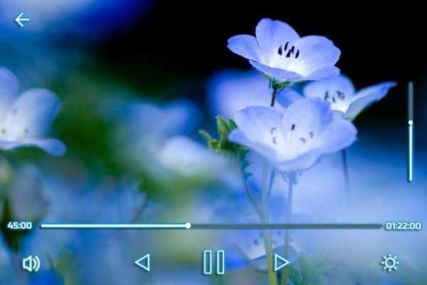 Max Video Player screenshot 4