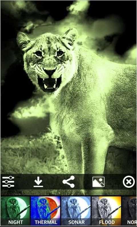 Night vision camera screenshot 6