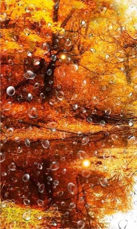 Autumn Rain LWP screenshot 6