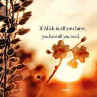 Islamic Quotes