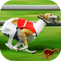 Собака гоночная игра Sim 3D