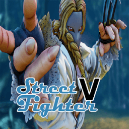 ikon New Street Fighter V Tips