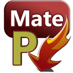 PlayMate↓ иконка