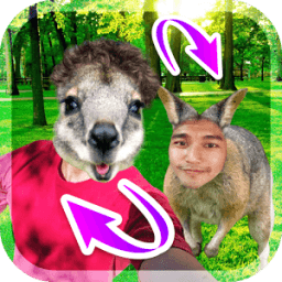 ย้ายหน้า สลับหน้า เปลี่ยนหน้า أيقونة