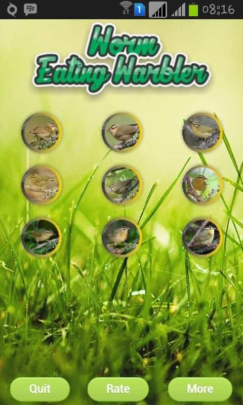Worm Eating Warbler screenshot 4