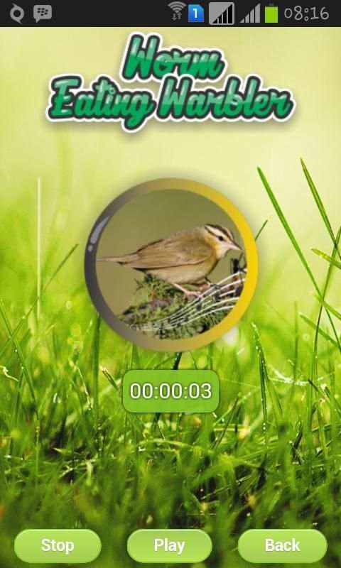 Worm Eating Warbler screenshot 3