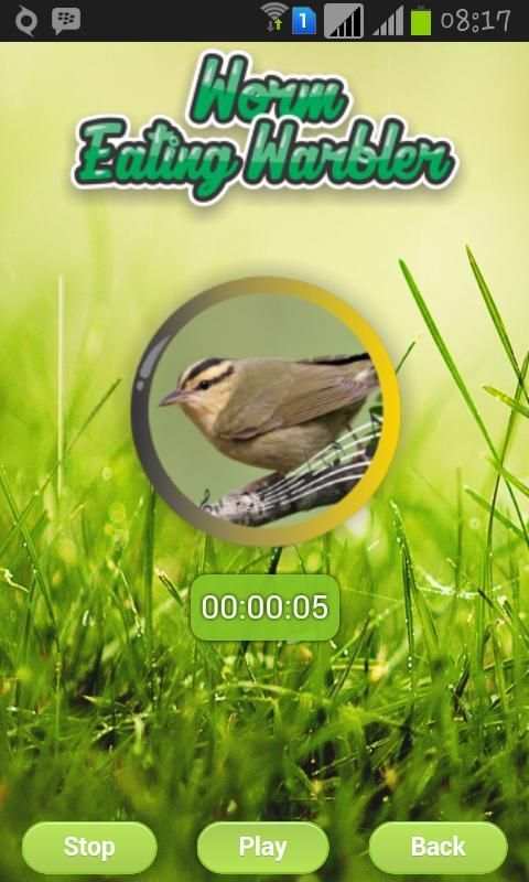 Worm Eating Warbler screenshot 1