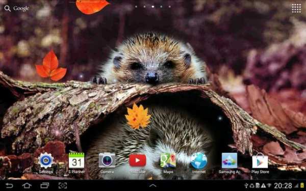 Autumn Live Wallpaper screenshot 8