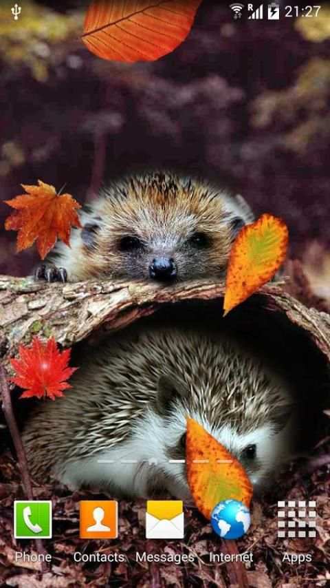 Autumn Live Wallpaper screenshot 16