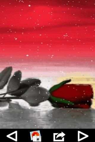 Love Wallpaper स्क्रीनशॉट 3