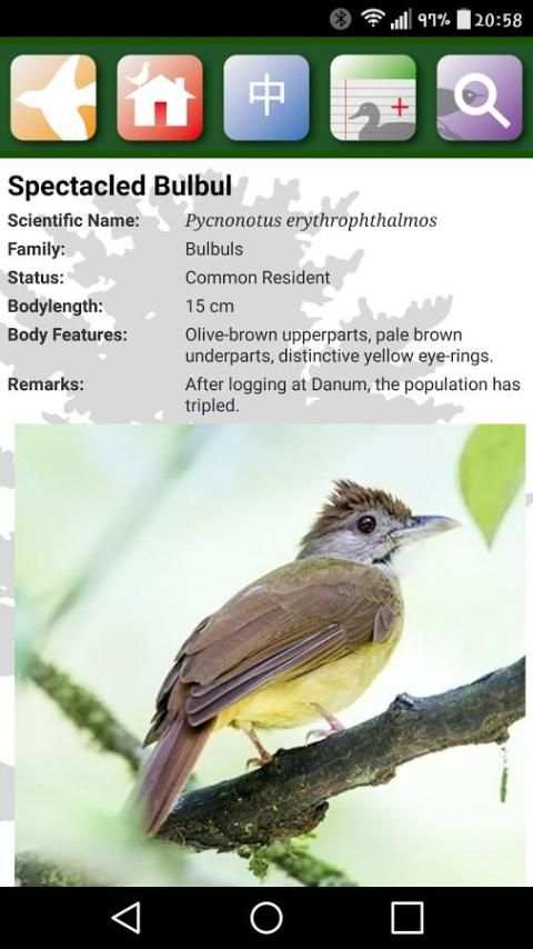 Sabah Birds स्क्रीनशॉट 1