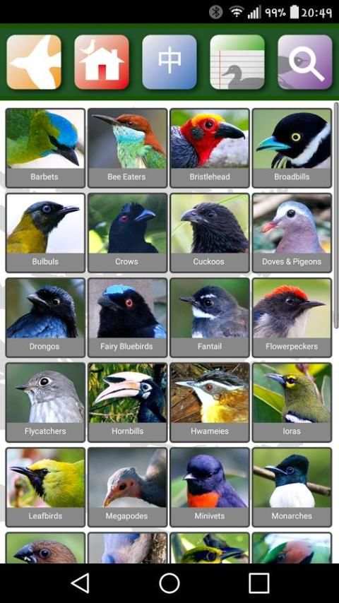 Sabah Birds 2 تصوير الشاشة