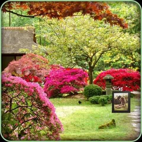 Garden Photo Frames HD+ 1 تصوير الشاشة