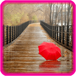 Rain Live Wallpaper आइकन