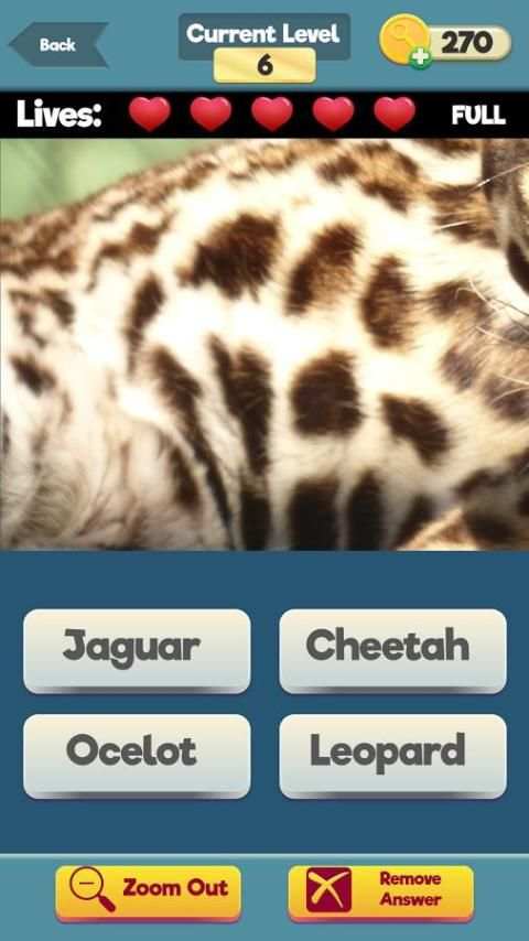Zoom Trivia - Animals Edition screenshot 14